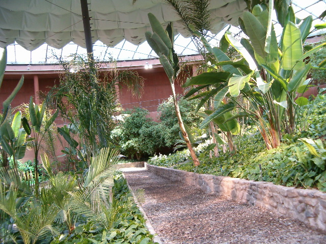 HPIM0643.JPG