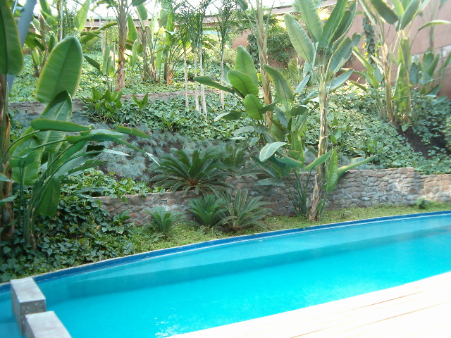 HPIM0644.JPG