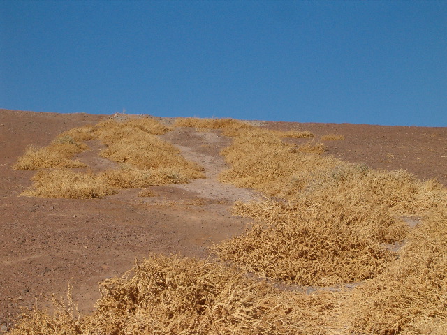 HPIM0695.JPG